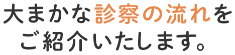 大まかな診察の流れをご紹介いたします。